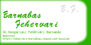 barnabas fehervari business card